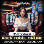 maintogel365-08.jpg